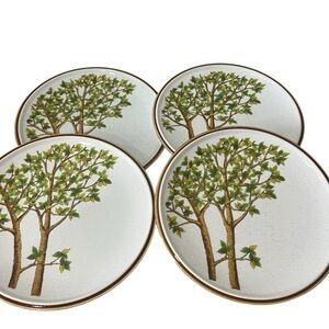 Vintage Mikasa natural beauty central park C 9059 Dinner Plates Set 4 Read Below